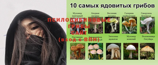 СК Арсеньев
