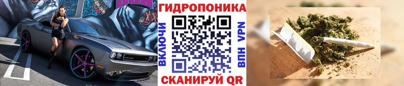 Каннабис Ganja  купить   Лениногорск 